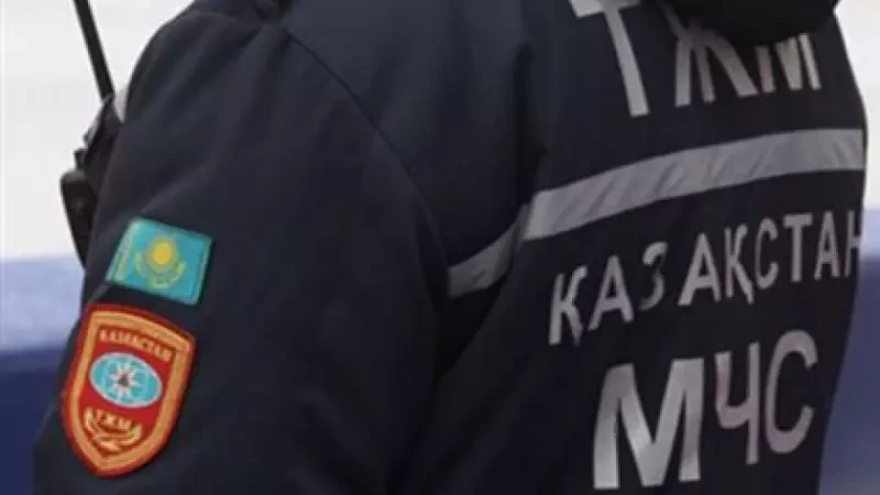 Seldir orman alqabyn saqtaý mańyzdy – depýtat