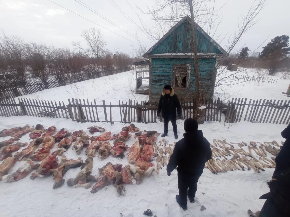 Bir jyl buryn ustalǵan brakonerler sottaldy