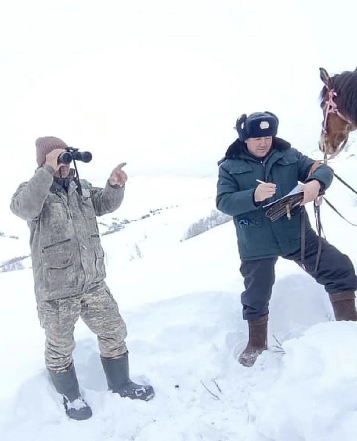 Túz taǵysyna qaraılasyp...