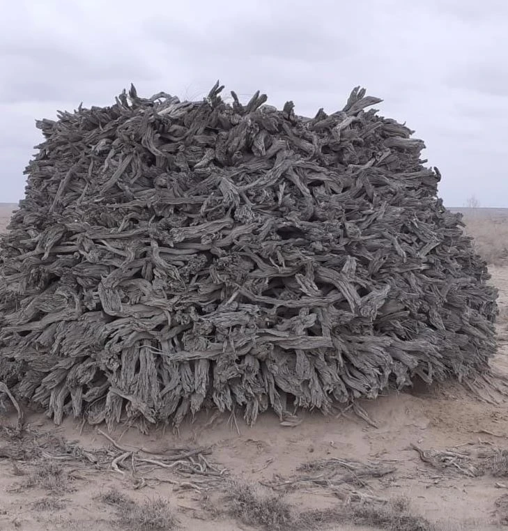 Qyzylqumda qupııa kóp