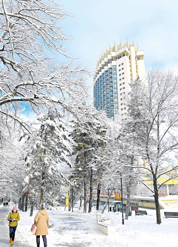 Almatynyń seısmıkalyq ımmýnıteti qandaı?