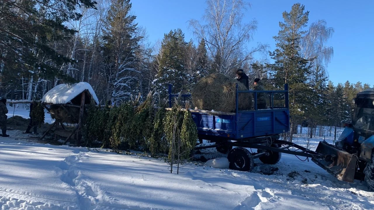 Qysqy sanaq júrgizilip jatyr