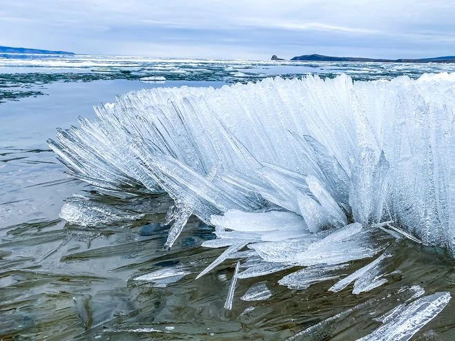 Sham muzy: Ári kórikti, ári qaýipti
