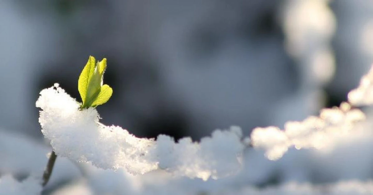 "-20 gradýsqa deıin tómendeıdi": Naýryz aıynda aýa raıy qandaı bolady?
