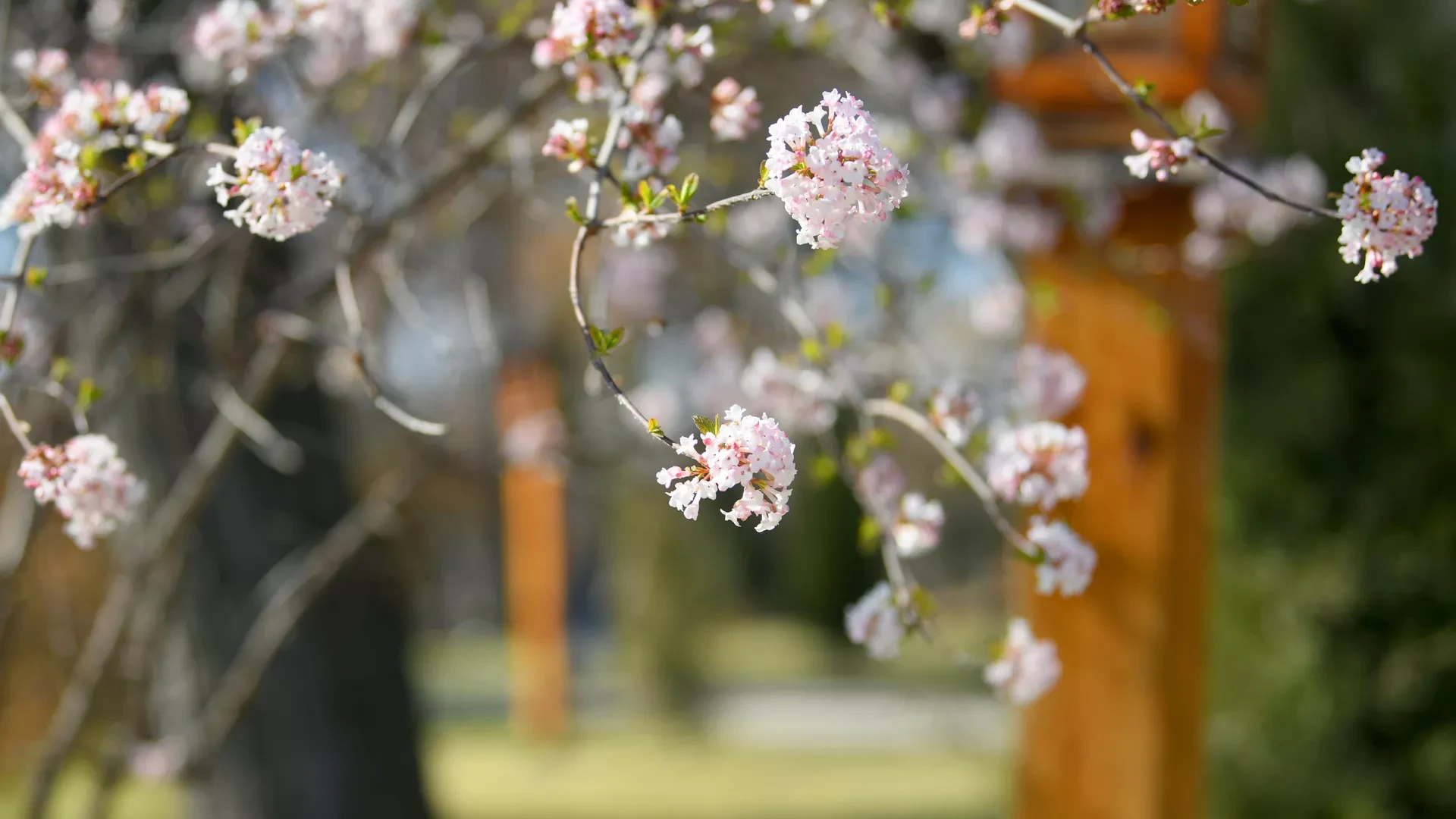 Qazaqstanǵa kóktem naýryz aıynyń sońynda keledi - Qazgıdromet