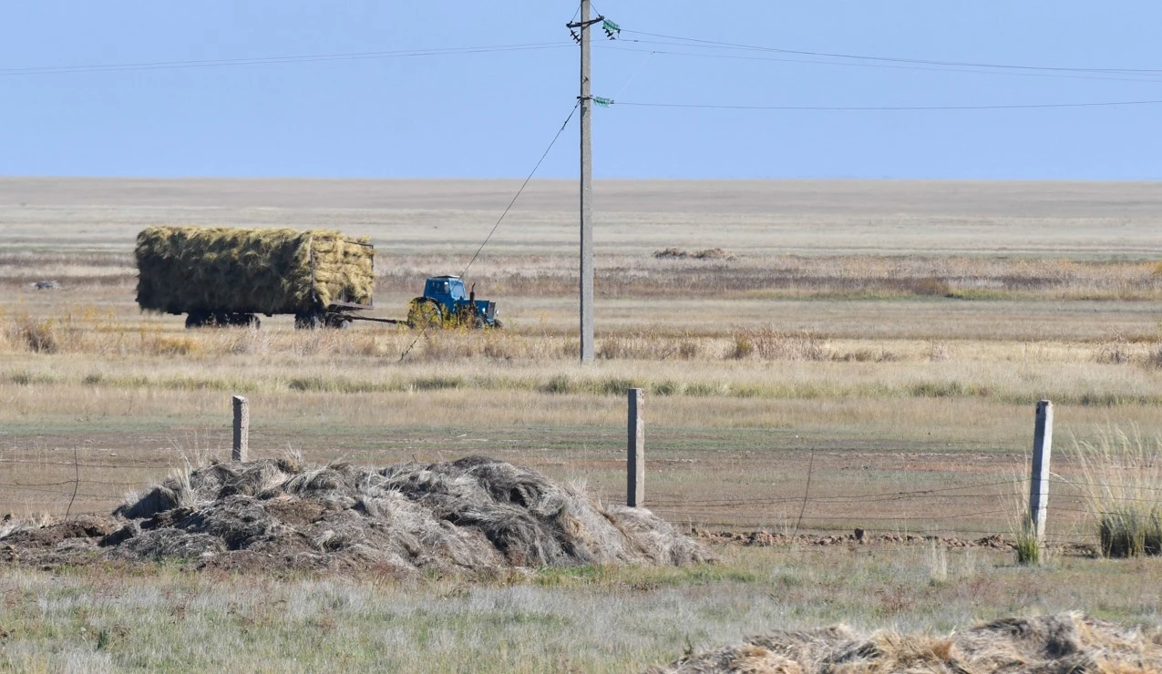 Alqapty taptatpaýdyń amaly