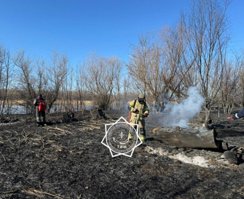 Kaspıı teńiziniń jaǵalaýynda 1000 gektar qamys órtendi