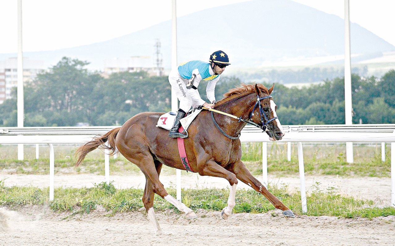 Kábirhan – uly báıgeniń sáıgúligi