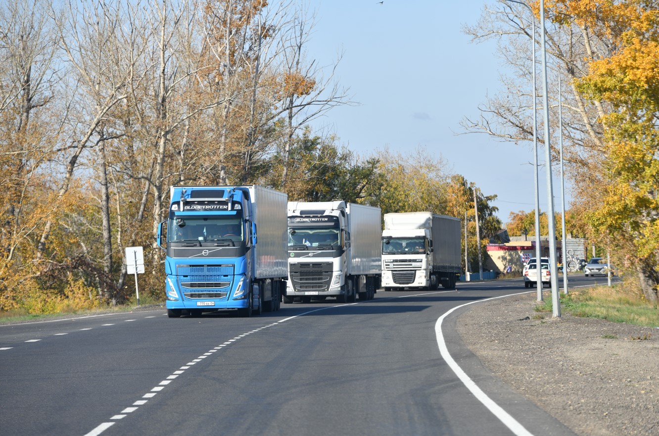 Kólik dáliziniń keleshegi