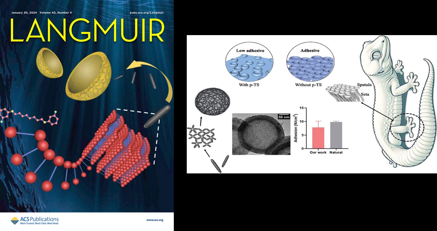 Tok ótkizgish polımerler