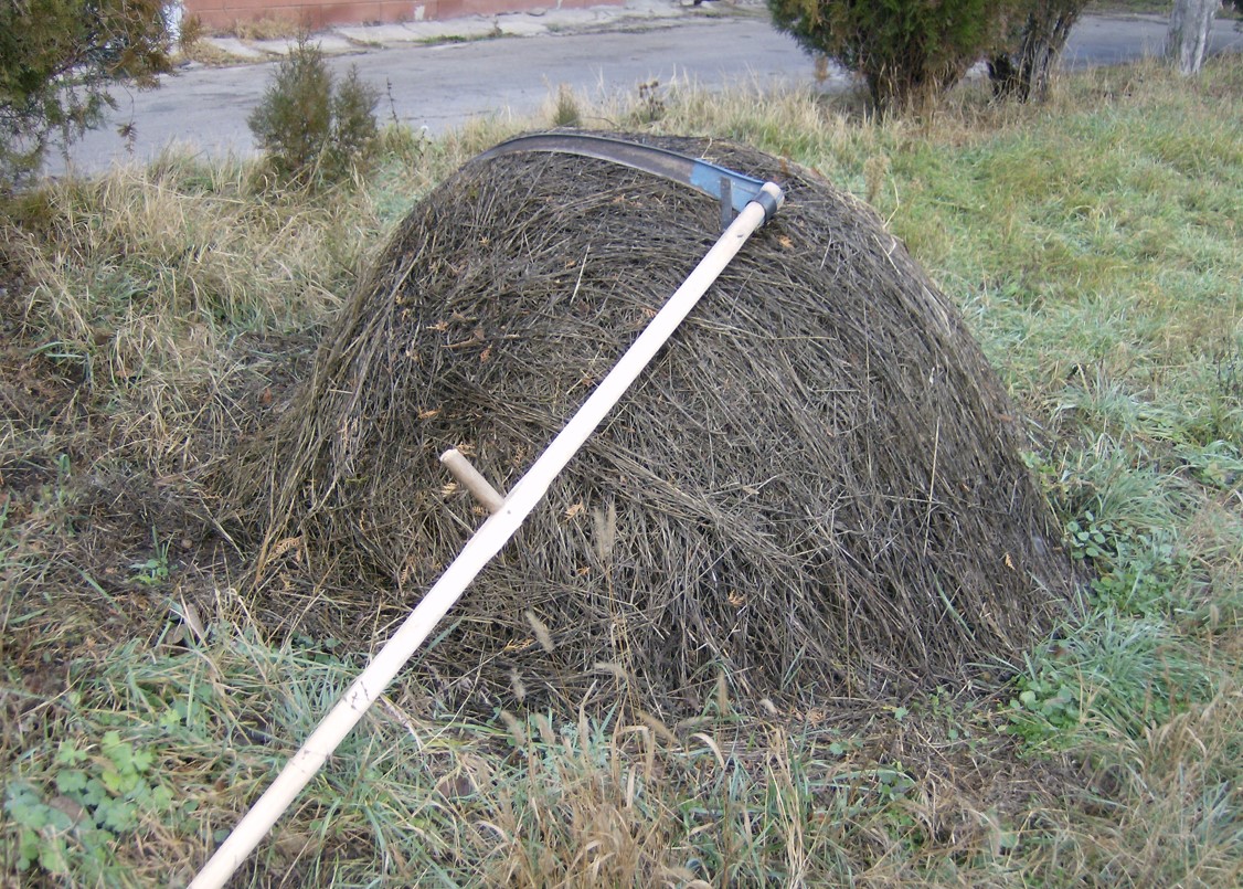 Qolshalǵy. Kók shalǵyn