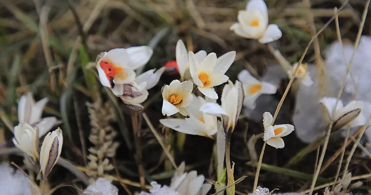 15 naýryzda elimizde qandaı aýa raıy bolady?