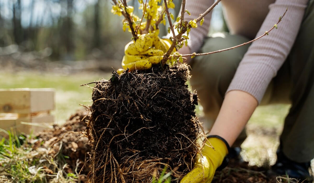 Jańarý kúni: el óńirlerinde qandaı is-sharalar ótedi?