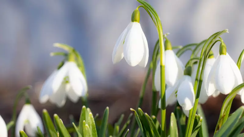 Mereke kúnderi elimizde qandaı aýa raıy bolady?
