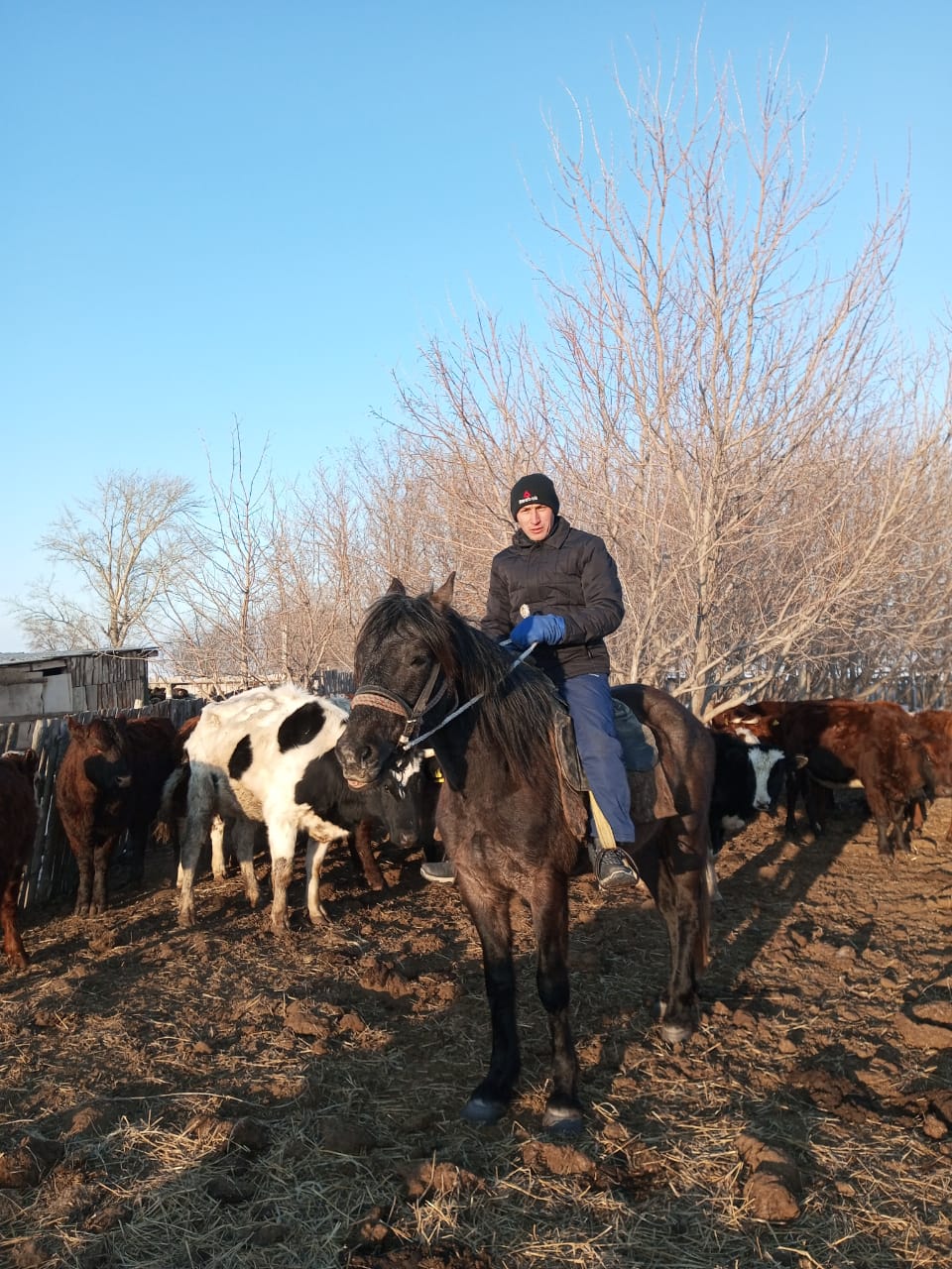 Atakásibine adal azamat