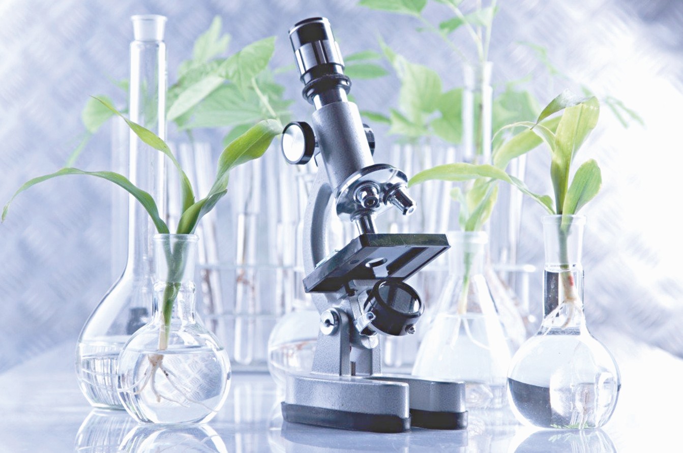 «Syr sulýyna» suranys joǵary