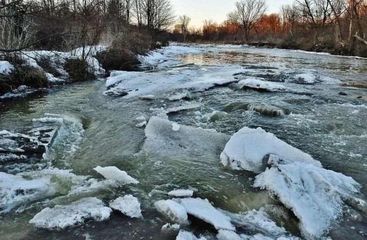 Qardyń erýi qarqyndy