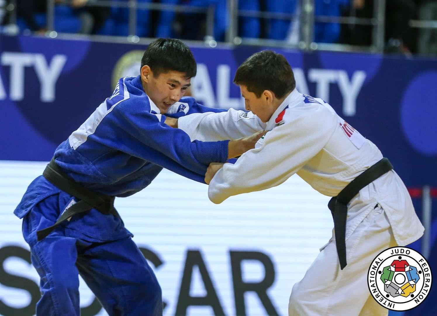 Qap taýynda qos júlde buıyrdy