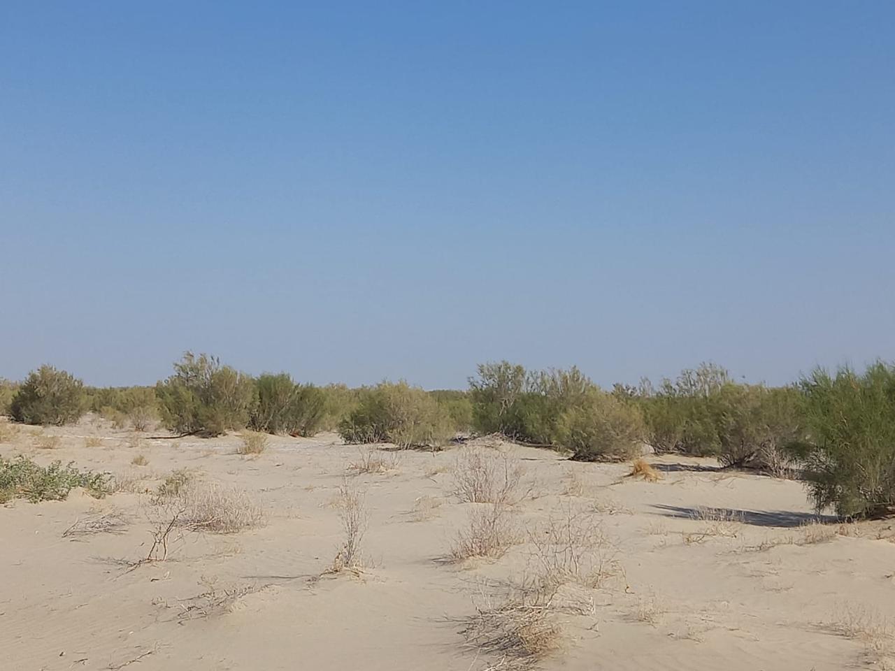 Teńiz tabanynda túlegen tirshilik