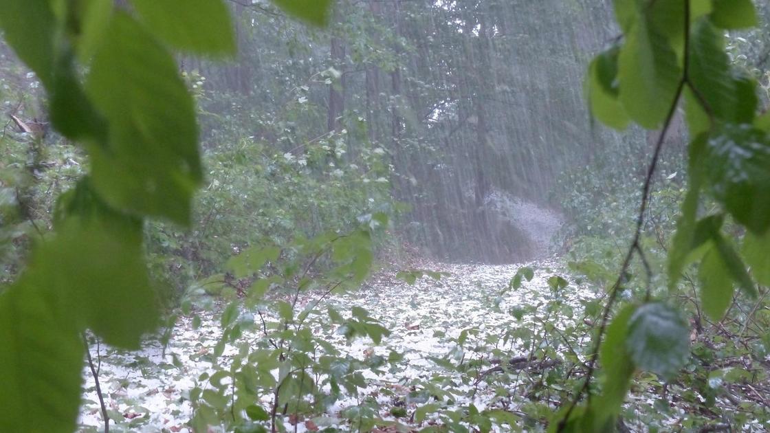 Qazaqstanda qar jaýyp, qaıtadan kún sýytady