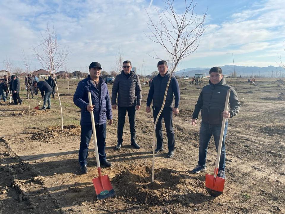 Saıa bolatyn kóshetter