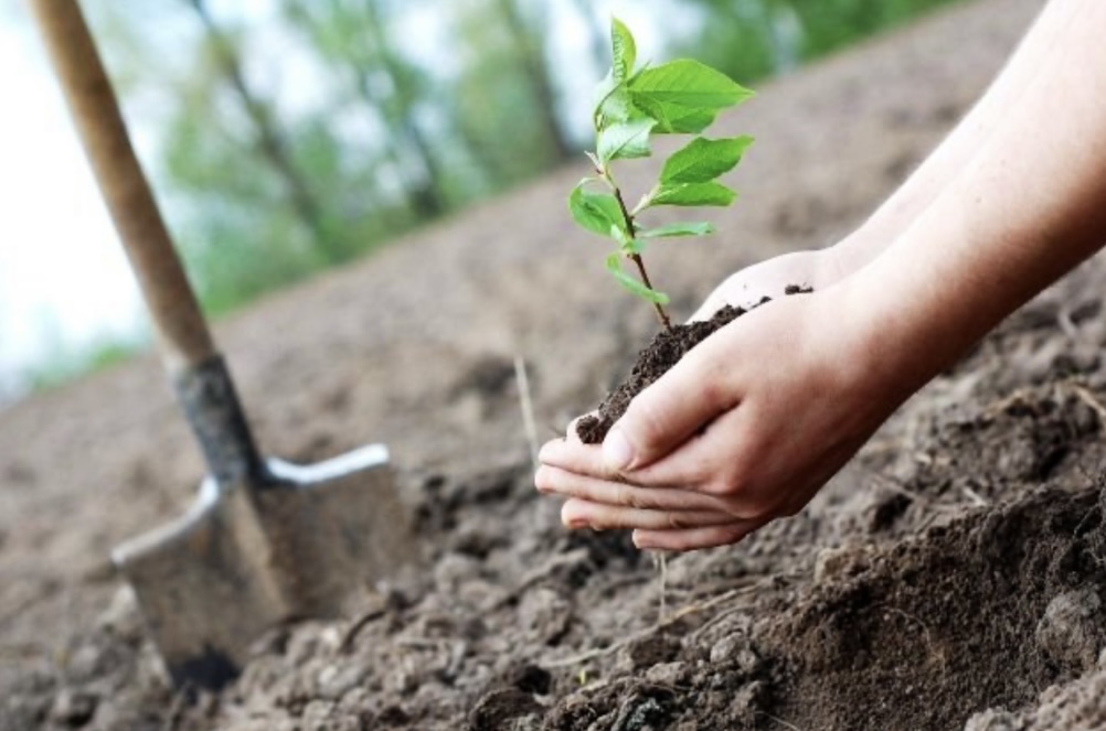 Ár terektiń tólqujaty bar
