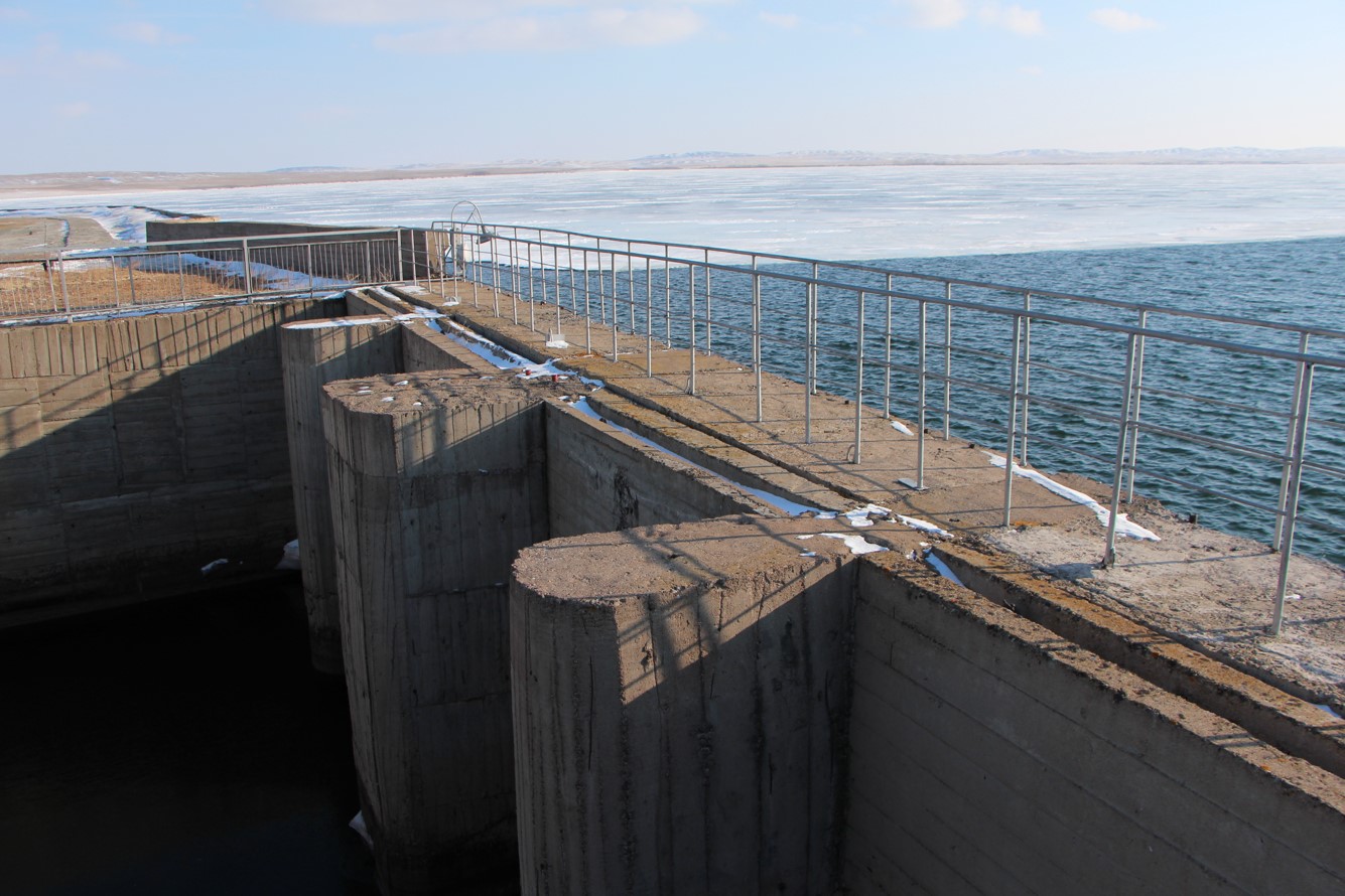 «EKI TÚIE SÚIKENSE...» nemese apatty sý bógetiniń taǵdyry alańdatady