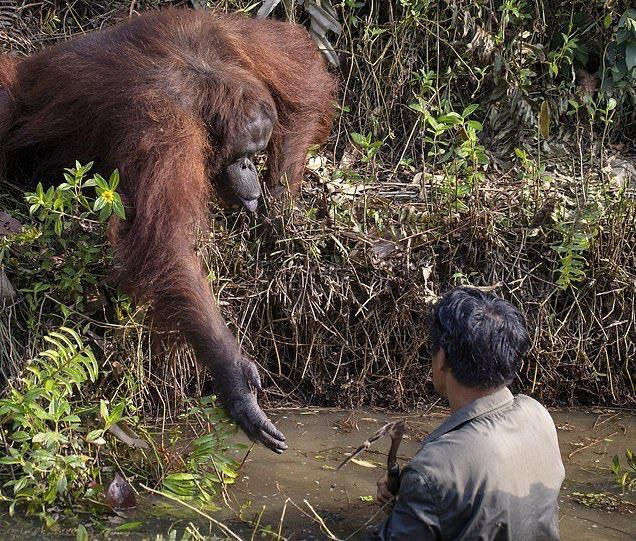 Biz ne aıtamyz, biz ne isteımiz?
