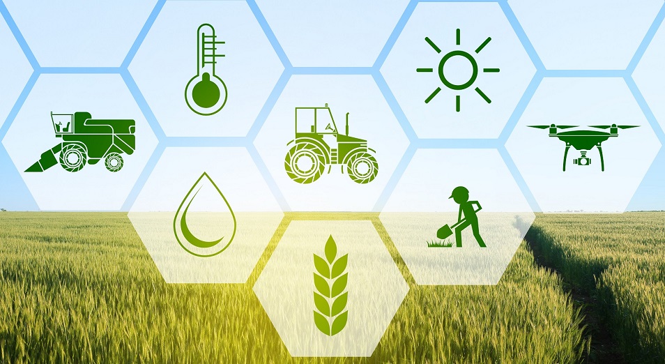 Kooperatıvterge serpin bergen baǵdarlama