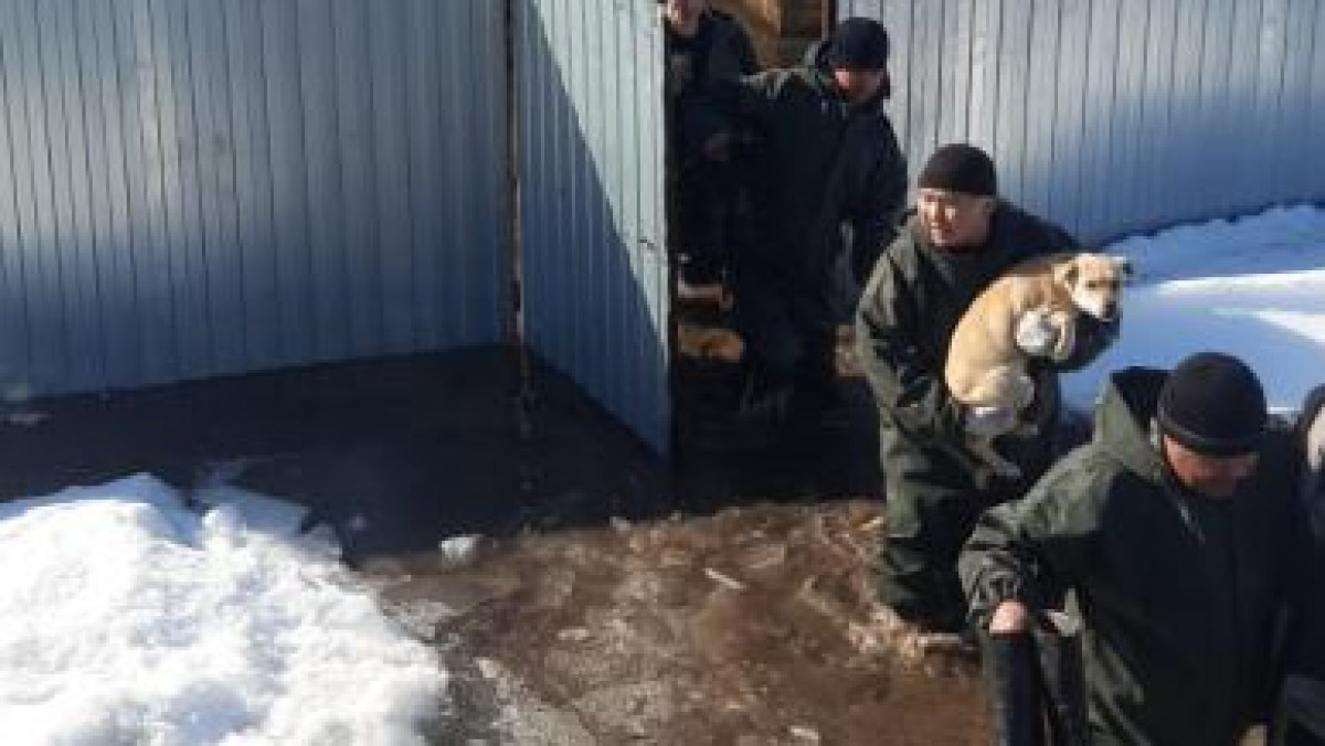 Mańǵystaýlyq qutqarýshylar – Aqtóbede