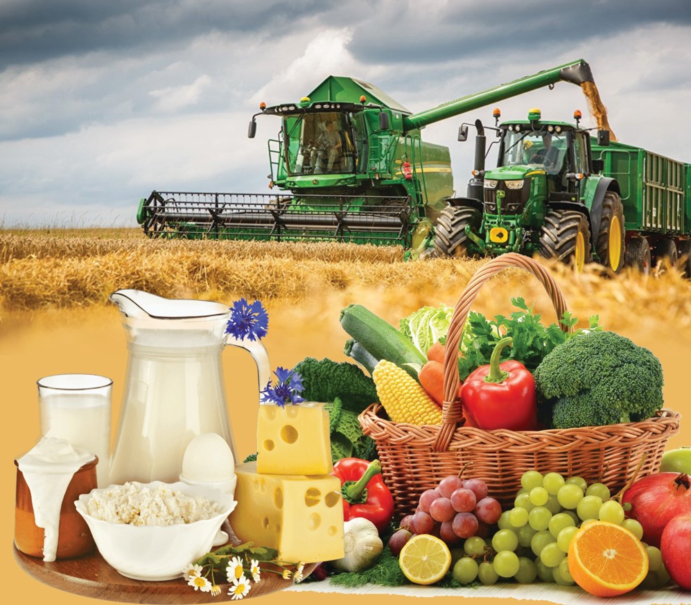 Agrobıznes qajettiligin qalaı óteımiz?