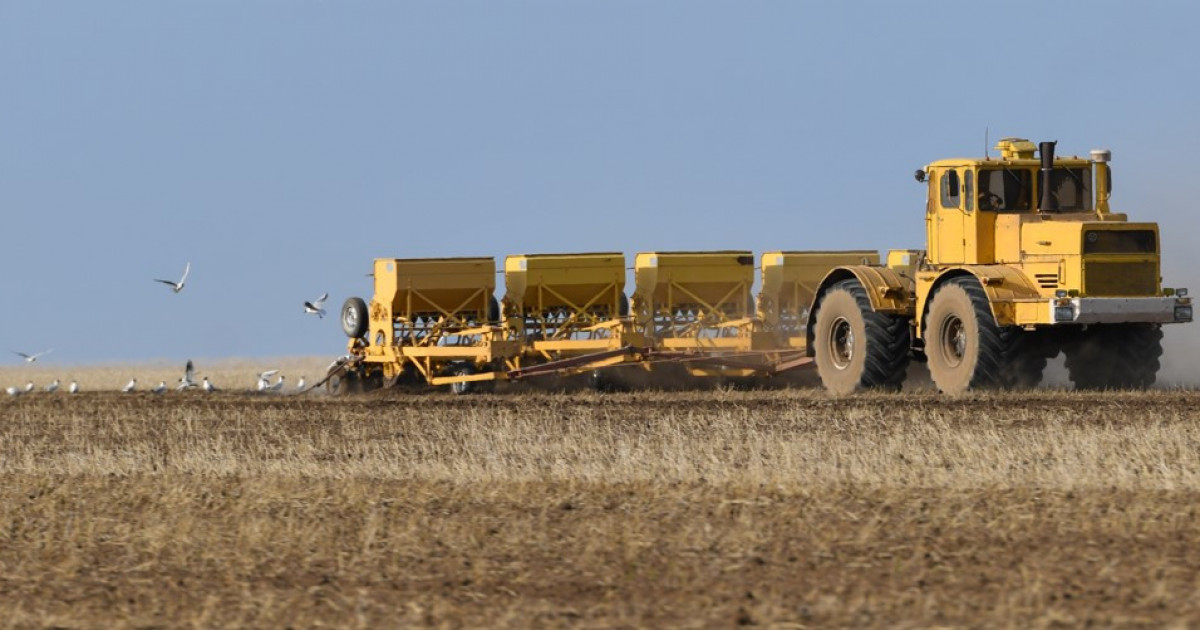 Qyrdaǵy naýqanǵa qamdanys