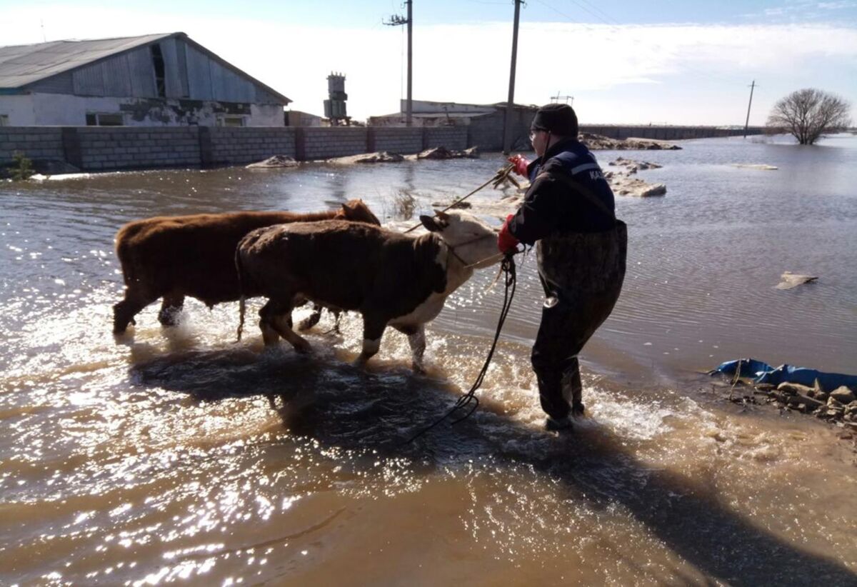Batysta zardap shekken 481 otbasy birjolǵy tólem aldy