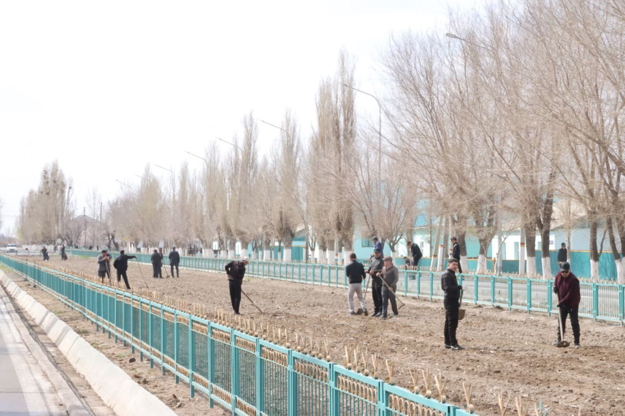 30 myńǵa jýyq aǵash kósheti egildi