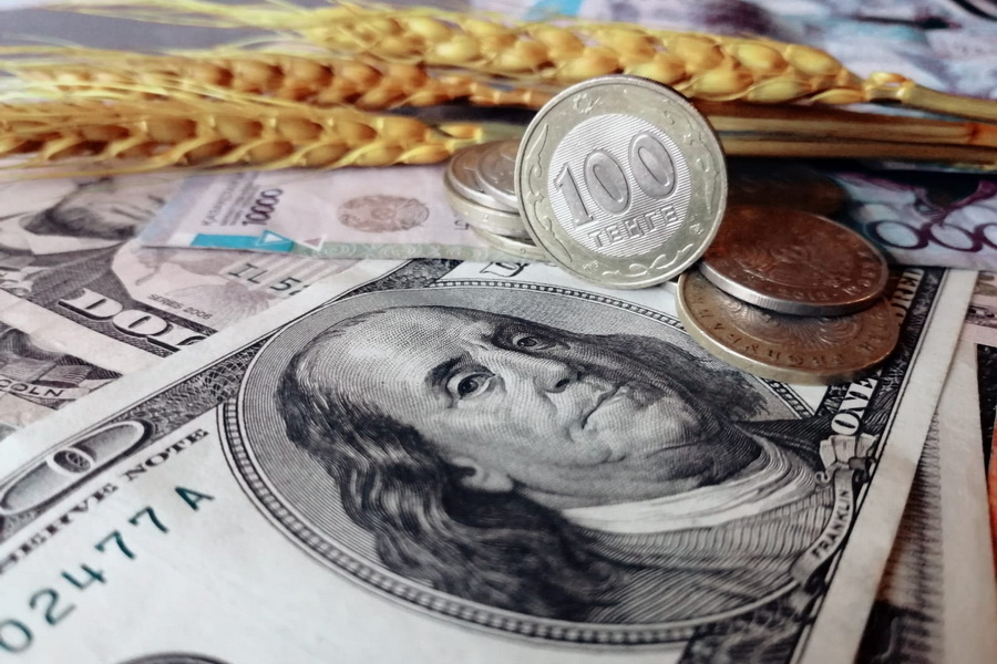 Suǵanaq sharýa sýbsıdııaǵa qumar