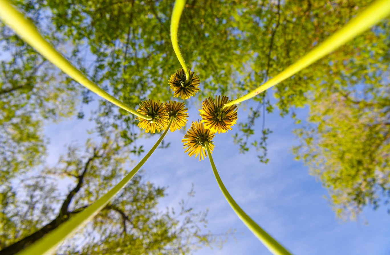 Tabıǵatpen sanasaıyq!