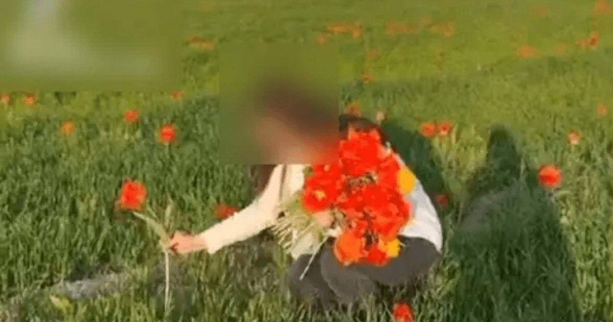 Túrkistan oblysynda qyzǵaldyq julǵan boıjetken jaýapqa tartylady