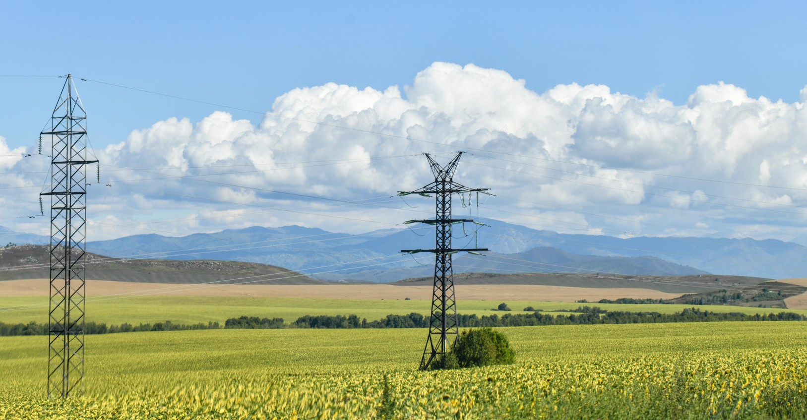 Tótenshe tyıymnyń tórkini nede?