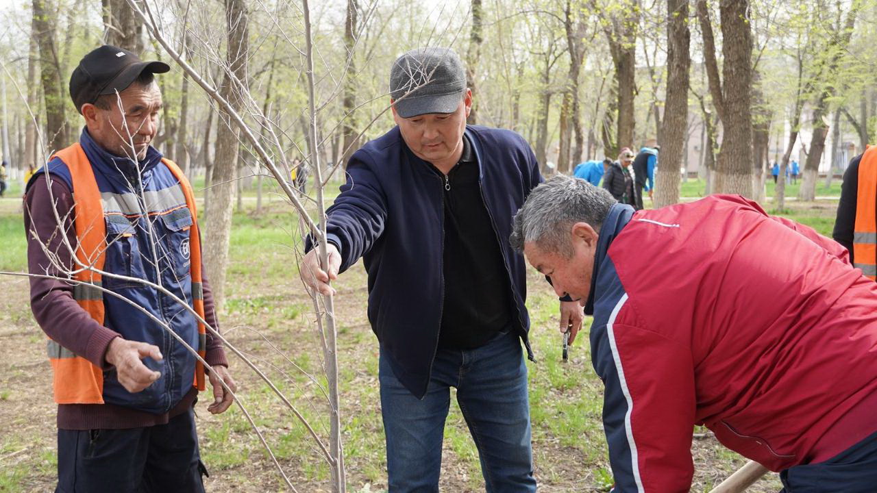 Kóshetten – saıaly baqqa