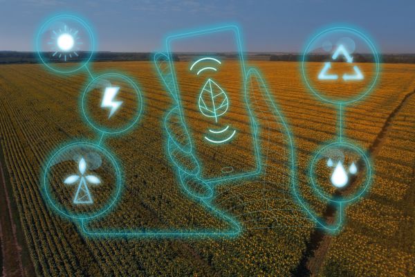 Mınıstrlik oqytqan neırojeli