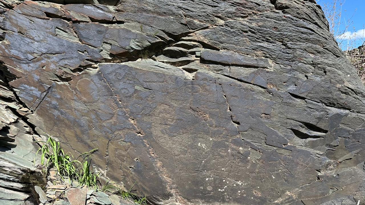 Qola dáýiriniń qoltańbasy