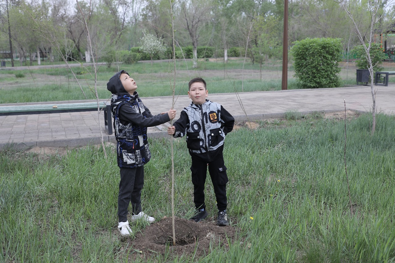 Ulytaý oblysynda 18 mıllıon túp aǵash otyrǵyzylady