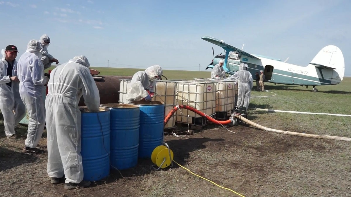 Shybyn-shirkeı mazany almaı ma?