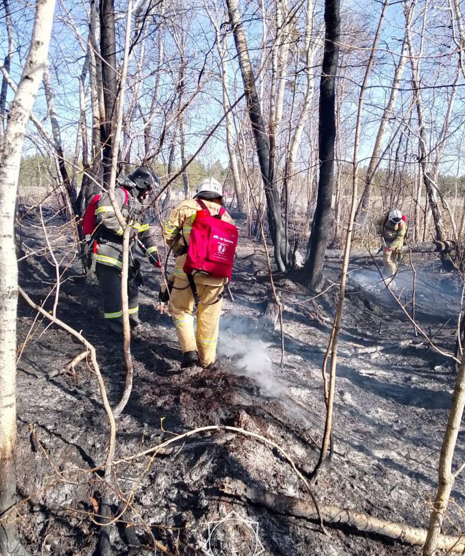 Abaı oblysyndaǵy orman órti sóndirildi