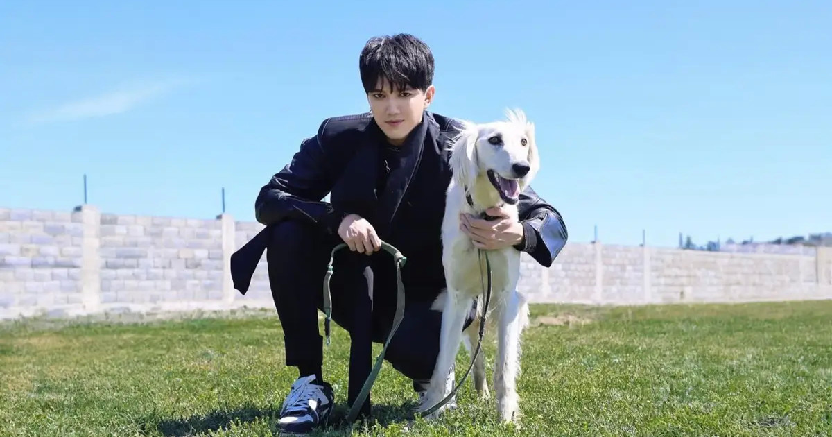 Senimdi serigime aınaldy: Dımash Qudaıbergen Prezıdent syıǵa tartqan tazyny kórsetti