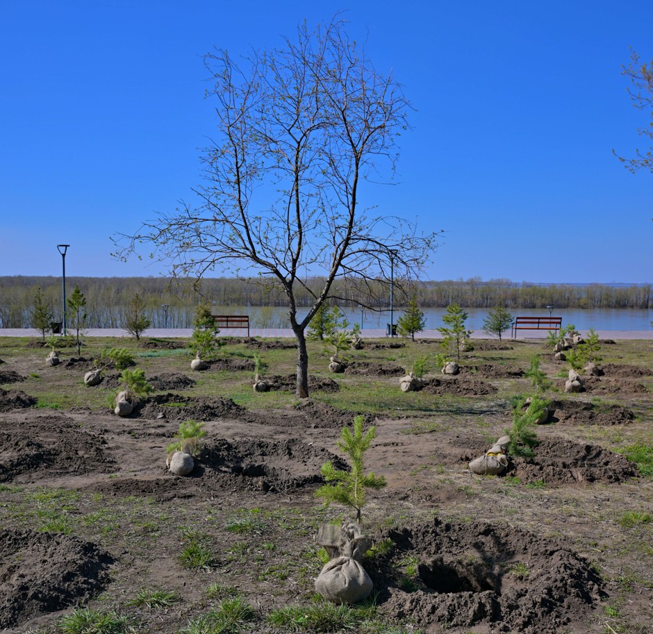 Kerekýlikter jappaı kóshet ekti