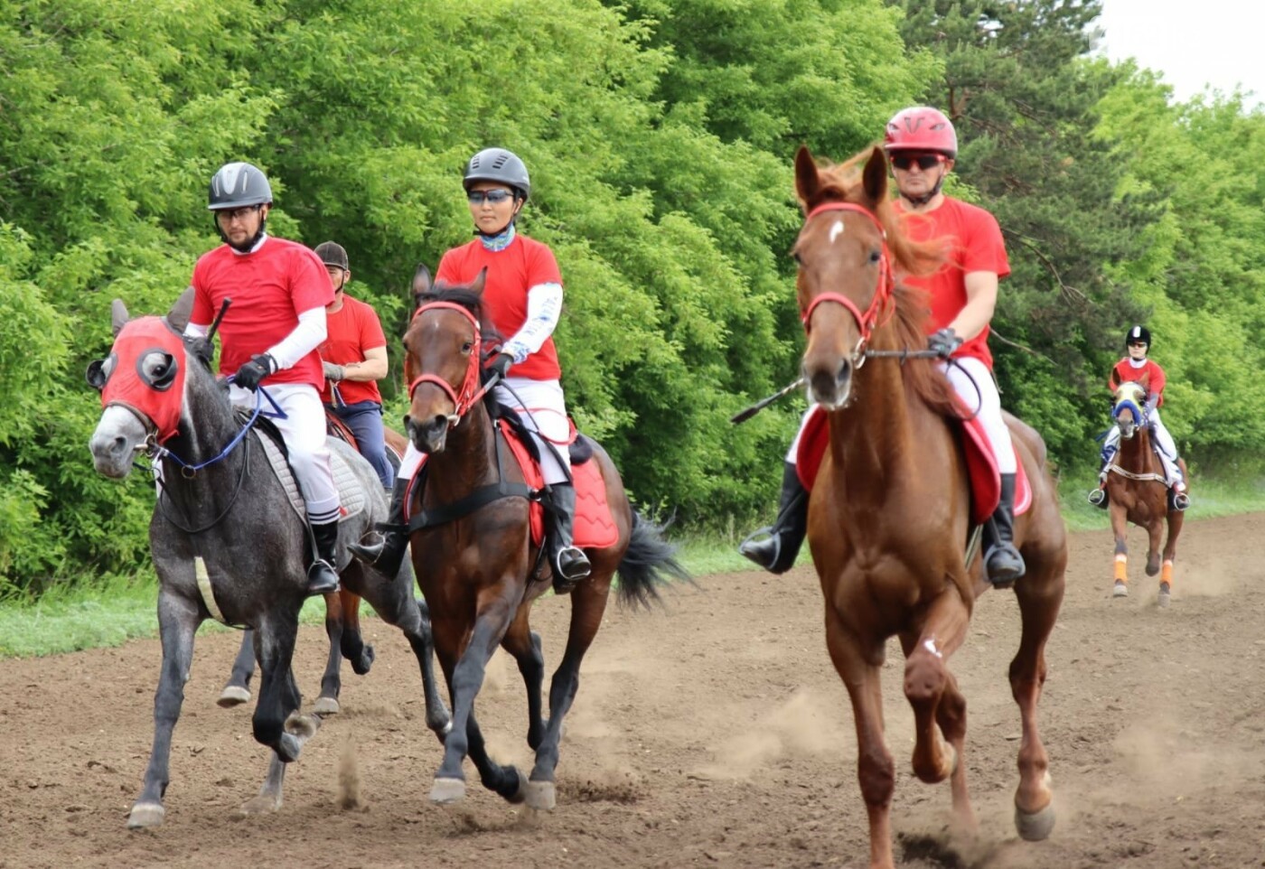 Minseń at, shapsań júırik, qaıran dúldúl...
