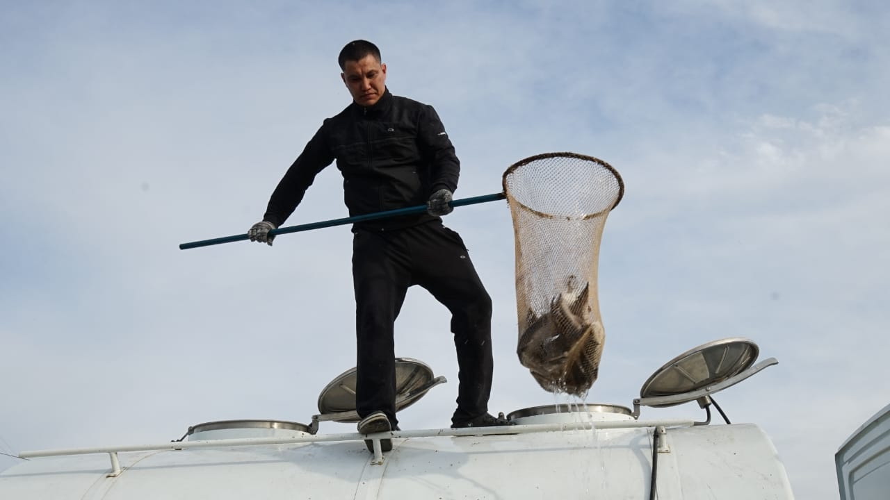 Qara Ertiske bekire jiberildi