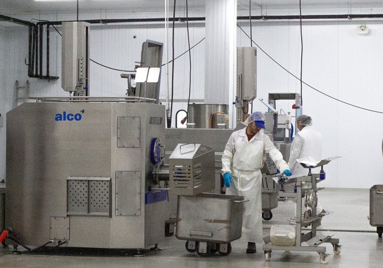 Zamana tynysyna saı zaýyt