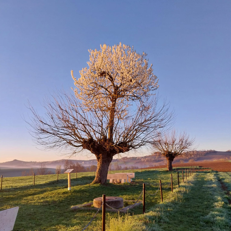 Ǵalam ǵajaptary: Tamyry tereńge ketken